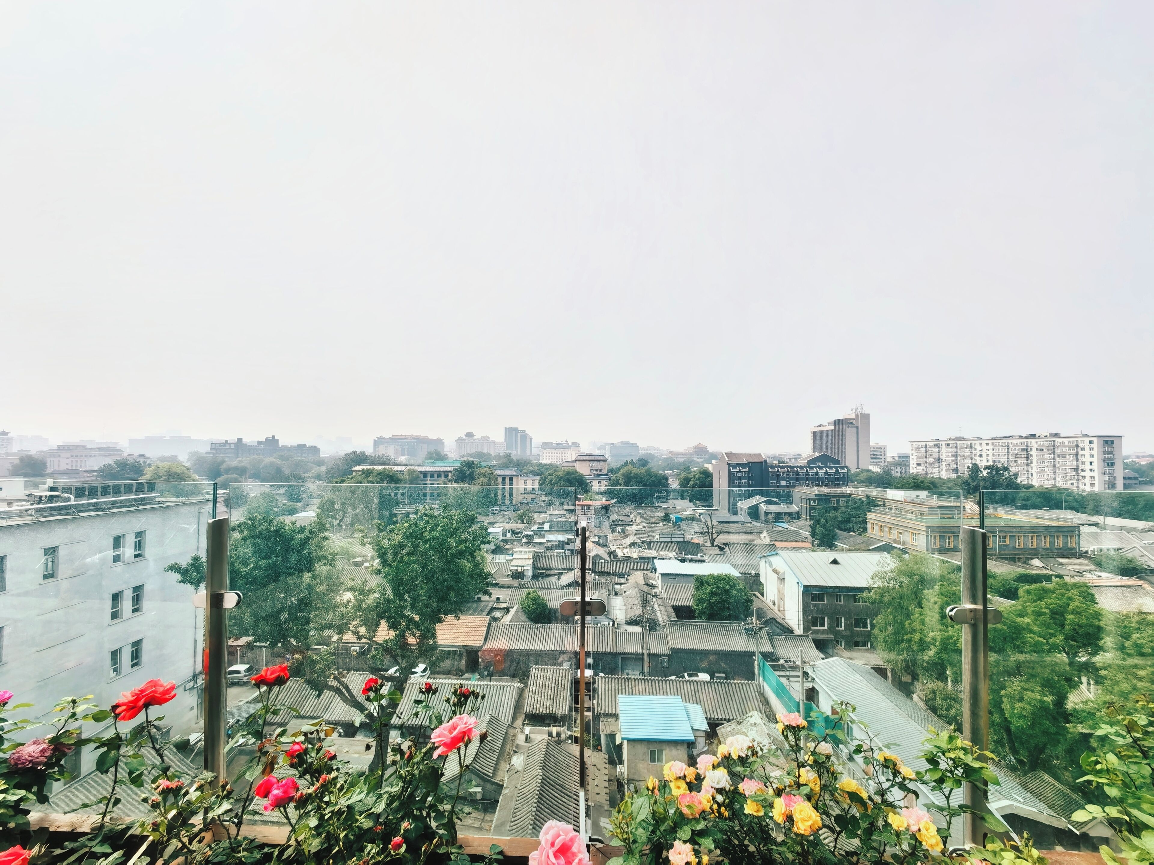 Photo - The Purple Horse Hotel Beijing