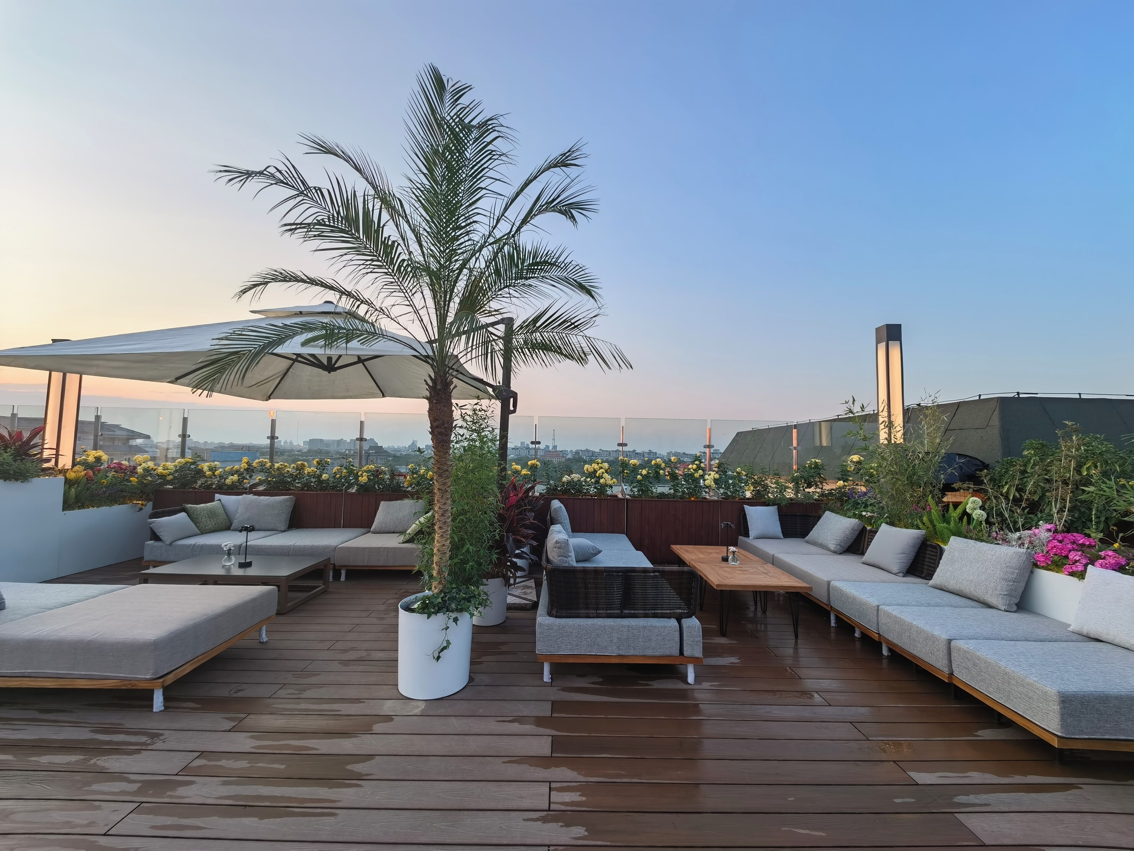 テラス / パティオ