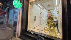 Un escaparate con decoración navideña, que incluye un árbol adornado y figuras de renos dorados.