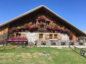 Extérieur