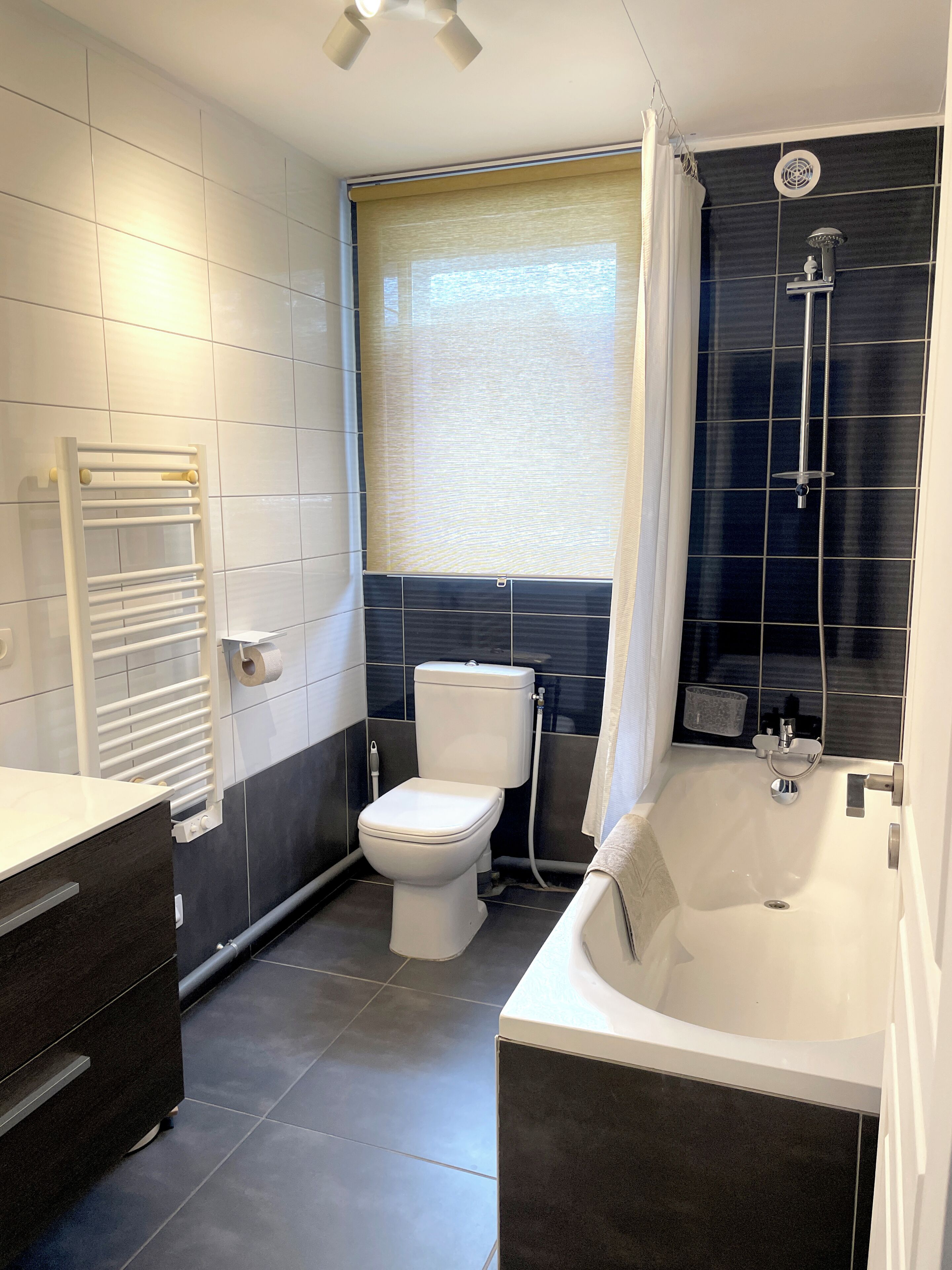 Ein modernes Badezimmer mit Toilette, Badewanne, Dusche und Handtuchhalter.