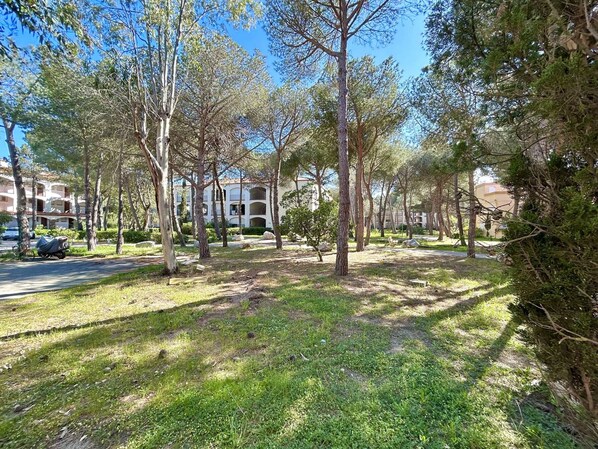 Property grounds