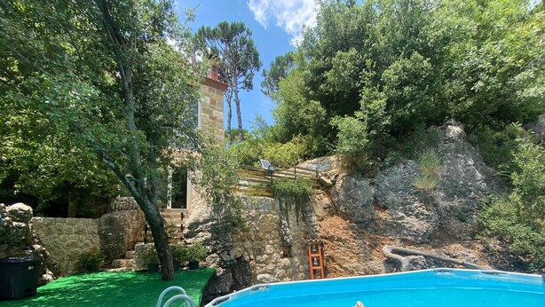 Une piscine avec un escalier, entourée de gazon synthétique vert et d’arbres.