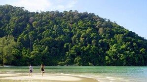 A beach with a forested hill in the background. - A Cozy Place Penang (George Town)