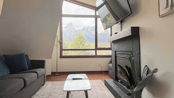 TV, fireplace, books, offices