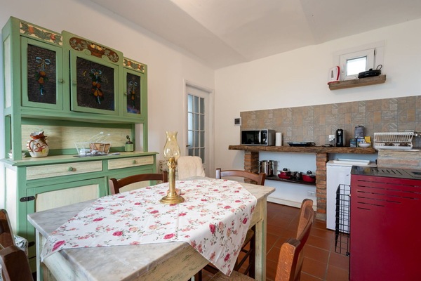 Arbuste, Chalet, Domicile, Ombre, Couverture De Sol, Jardin, Cour, Arrière-Cour, Batiments Jardin, Pelouse