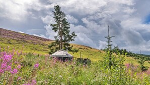 A rustic cabin with a conical roof, surrounded by vibrant wildflowers and a backdrop of a cloudy sky. - Chalet With Gleneagles Views, hot Tub, No Deposit (Auchterarder)