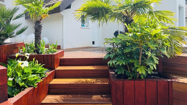 A modern outdoor area with wooden steps leading to a white building, surrounded by various potted plants and greenery.