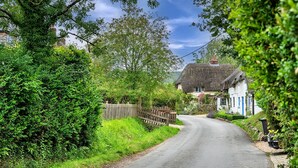 Cottage | View from property