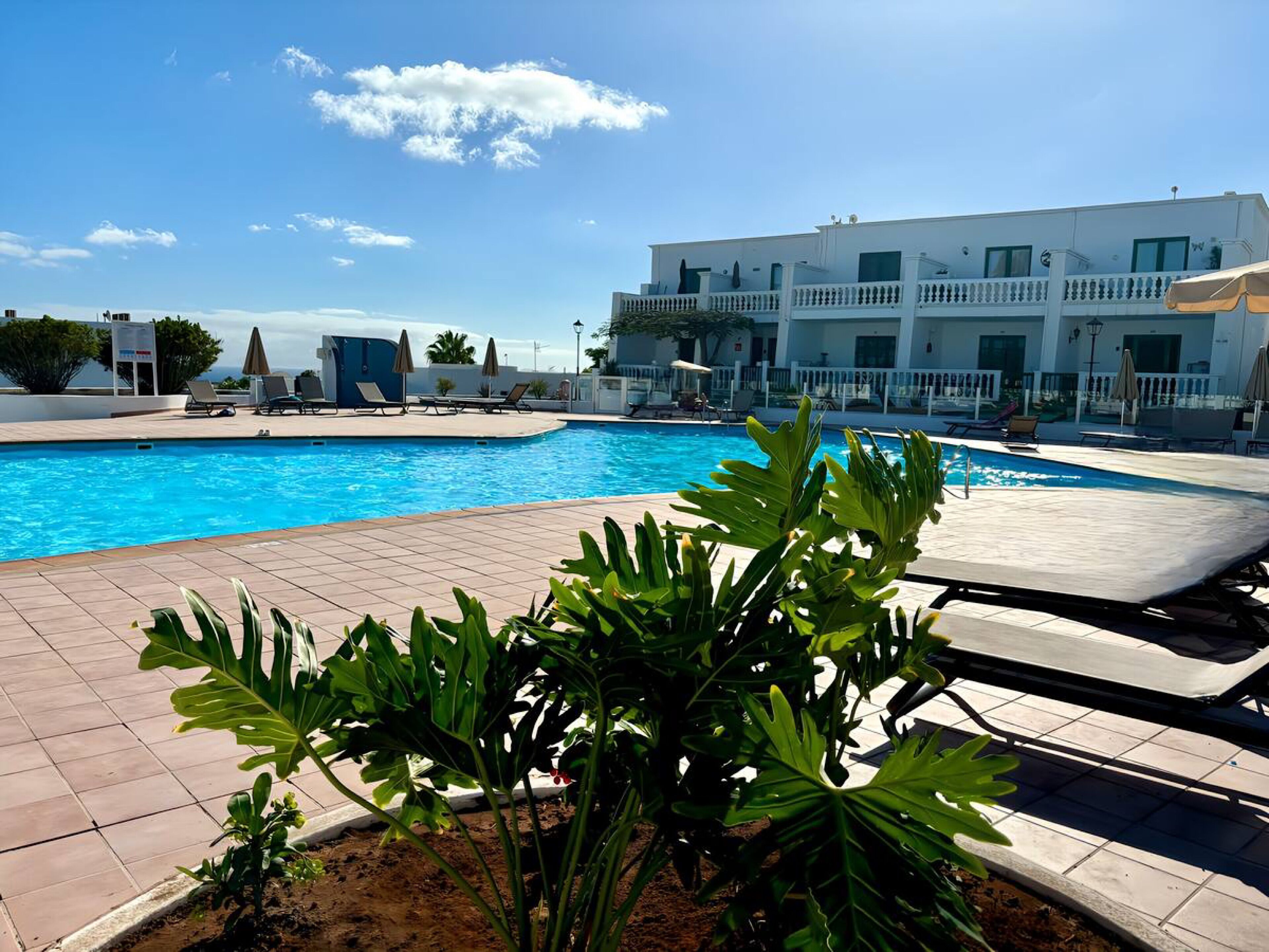 Apartment, 2 Bedrooms, Terrace, Pool View | Pool | Outdoor pool