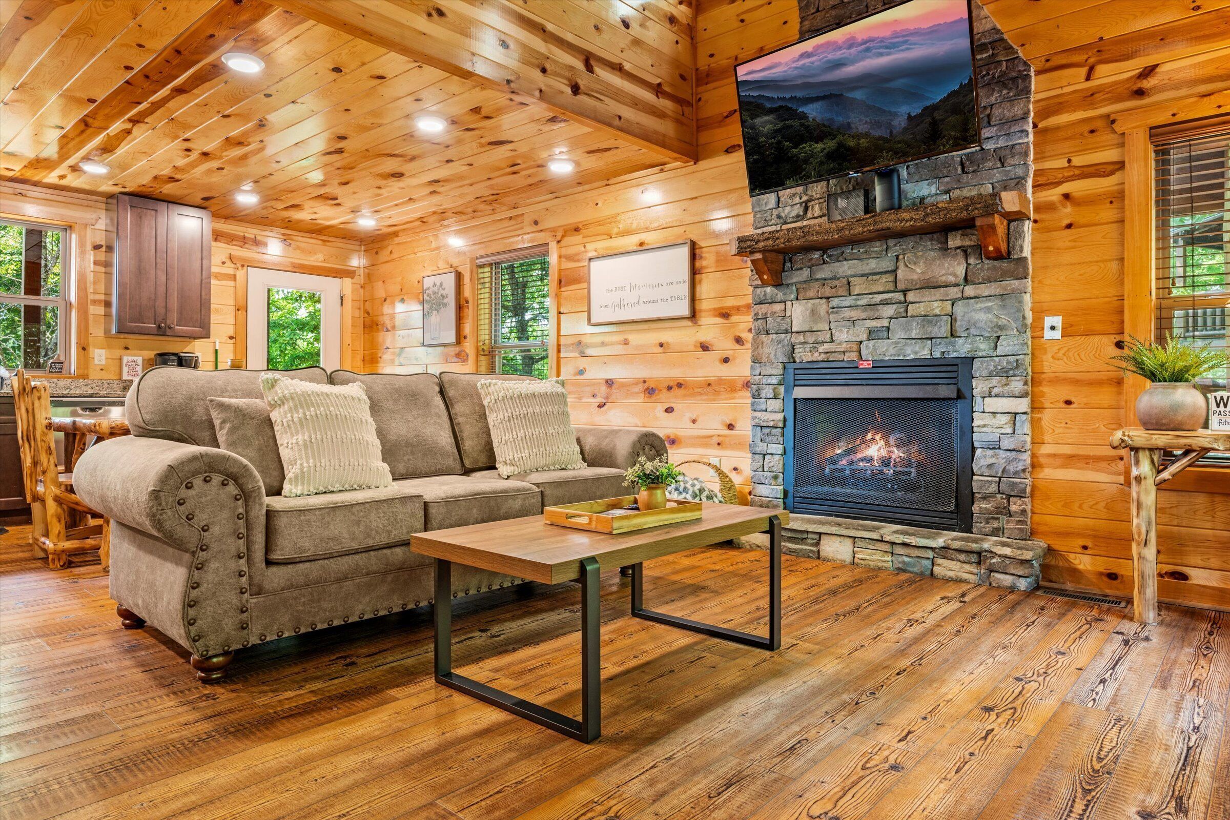 Smart TV, caminetto, lettore DVD