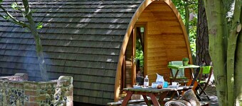Glamping Pod in Bury St Edmunds Woodland