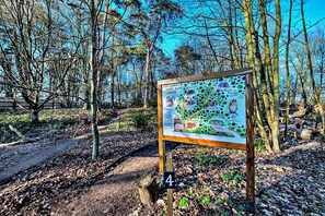 House | View from property