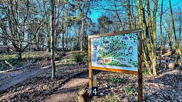 House | View from property