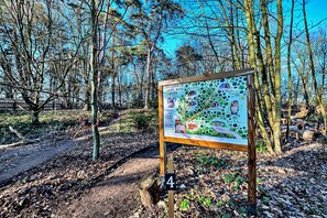 House | View from property - Glamping Pod in Bury St Edmunds Woodland (Bury St Edmunds)