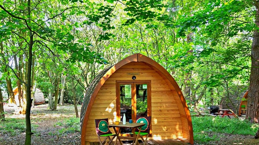 Woodland Glamping in Bury St Edmunds, No Deposit