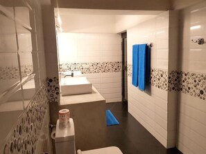 Hair dryer, towels, toilet paper