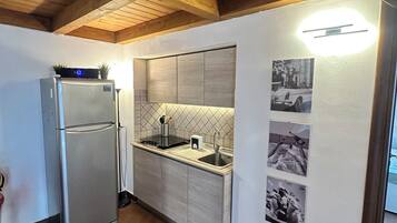 KĂŒhlschrank, Herdplatte, Wasserkocher, Kochgeschirr/Geschirr/Besteck