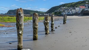 Unclassified image, 2 of 30, button - Delightful Seaside Retreat in Gardenstown, No Deposit (Banff)