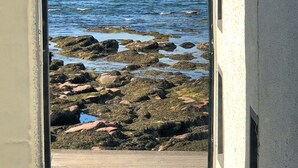 Unclassified image, 3 of 30, button - Delightful Seaside Retreat in Gardenstown, No Deposit (Banff)
