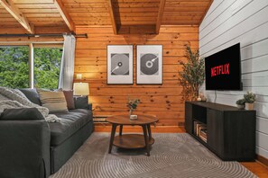 TV, fireplace, books, offices