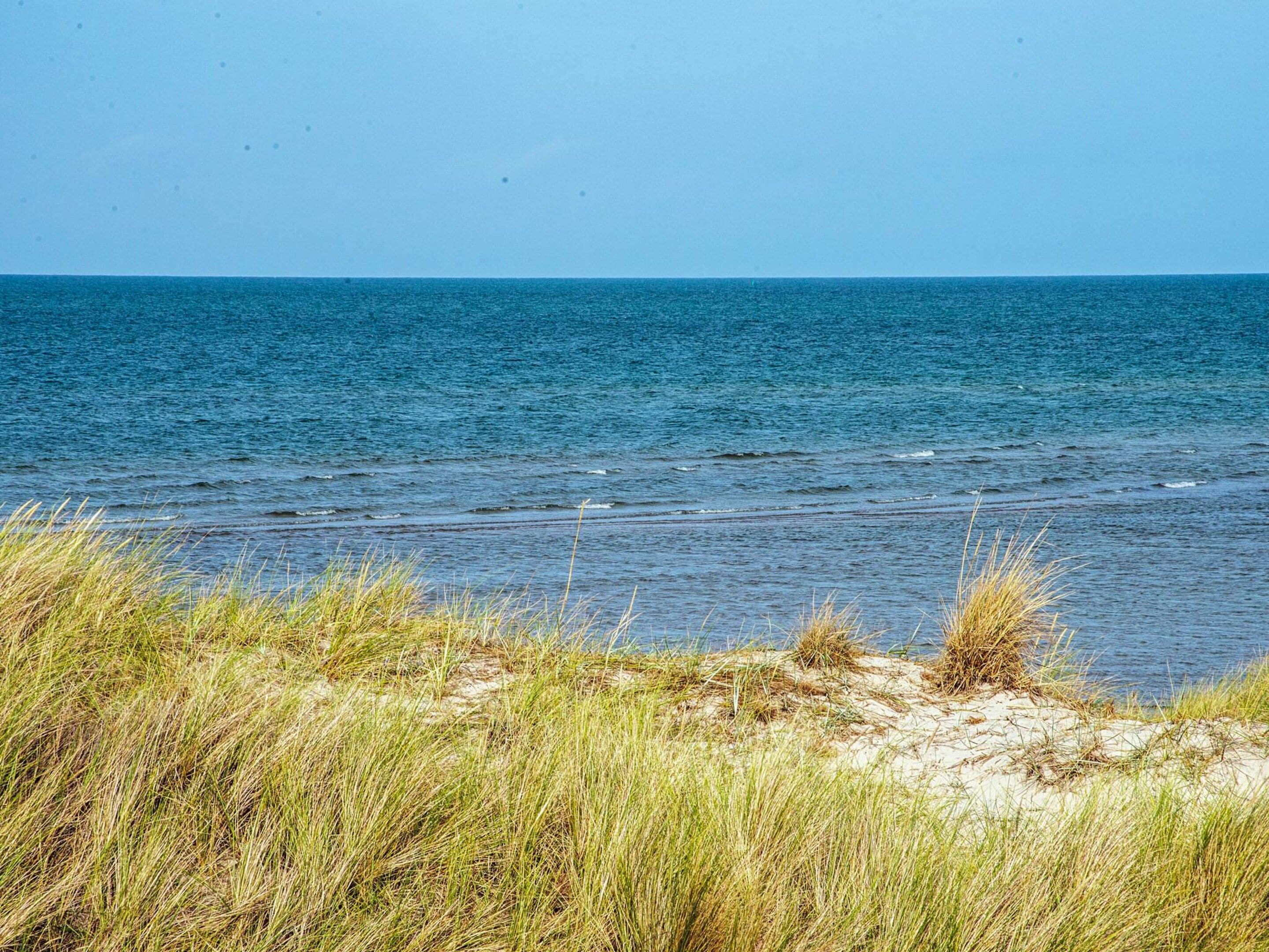 Uma praia com águas azul-claras e dunas gramadas.