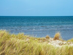 A beach with clear blue water and grassy dunes. - 4 Star Holiday Home in Laeso (Læsø)