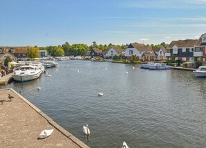Chalet | View from property - Bell Tent Retreat in Norfolk Countryside (Norwich)