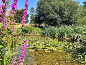 Chalet | Exterior - Bell Tent Retreat in Norfolk Countryside (Norwich)