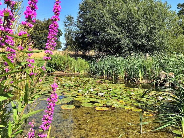 Chalet | Exterior - Bell Tent Retreat in Norfolk Countryside (Norwich)