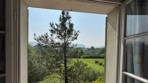 A window with a view of a tree and a green landscape.