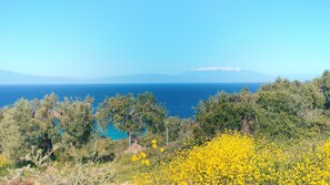 Enjoy breathtaking views of the sea and distant mountains from this serene landscape.