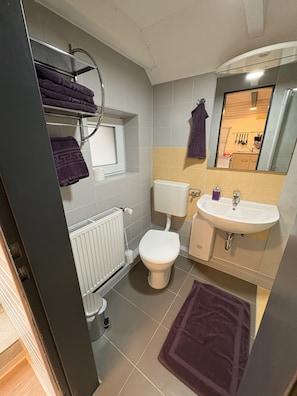 Dusche, Handtücher, Seife, Toilettenpapier