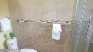 Une salle de bain comprenant des toilettes, un lavabo avec un plan de travail en granit, une petite plante en pot et un espace douche doté d’une porte en verre.