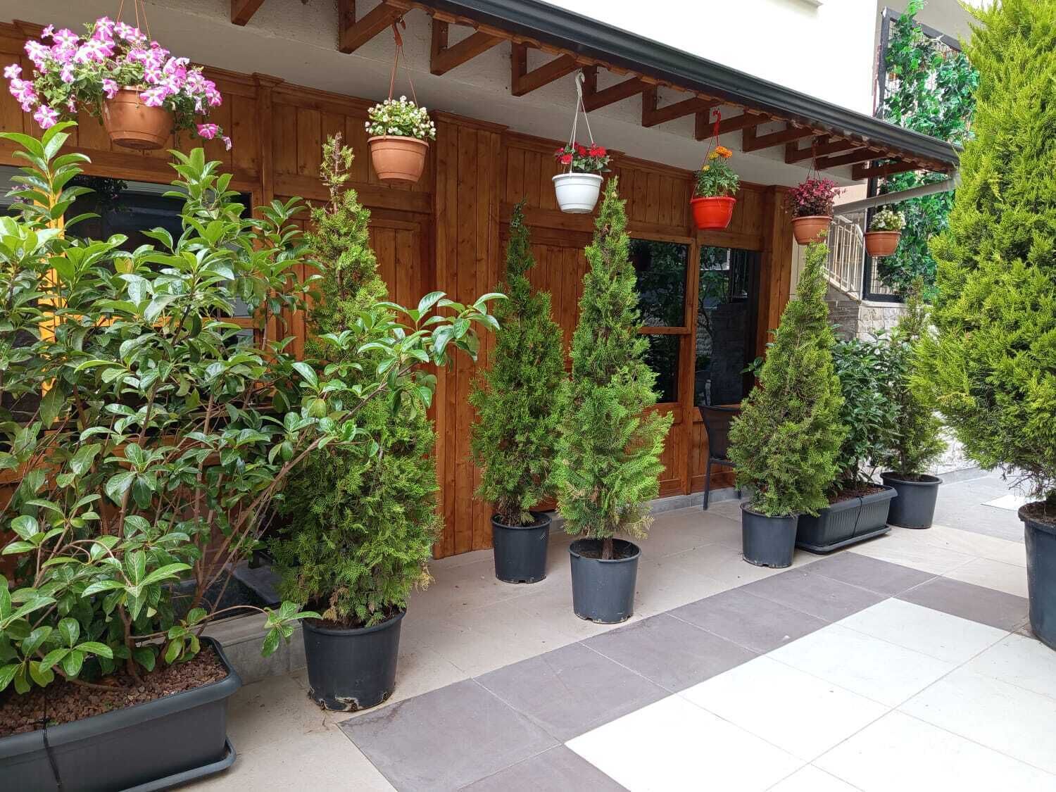 Un edificio con fachada de madera, plantas en macetas y una zona de entrada con baldosas.