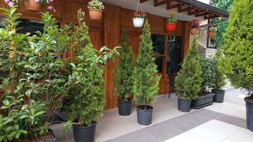 Un edificio con fachada de madera, plantas en macetas y una zona de entrada con baldosas.