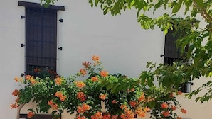A building with a stone base and a wooden door, surrounded by a paved area and a tree with orange flowers. - El Molino De Alatoz  (Alatoz)
