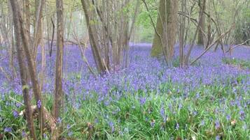 Chalet | Bahagian luar