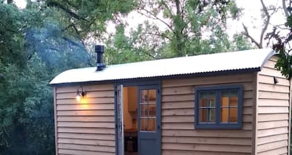 Shepherd's Hut in Sussex With Fire Pit & Wildlife
