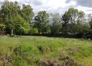 الإطلالة من المنشأة