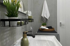 Hair dryer, towels, soap, toilet paper