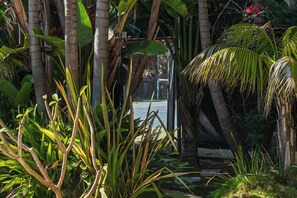 Property grounds - La Jolla Retreat: Pool, Tennis, & Walk to Beach (San Diego)