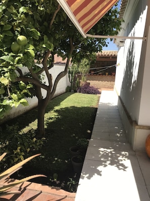 Property grounds - Detached house 5 kms from La Barrosa beach (Chiclana de la Frontera)