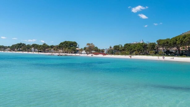 A beach with clear turquoise water, sandy shore, and trees. - Apartamentos Venecia  (Alcúdia)