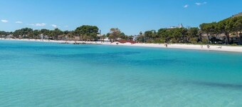 Apartamentos Venecia