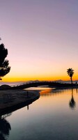 A calm waterfront at sunset with a bridge, a palm tree, and a bench.