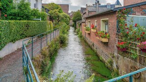 Un canal étroit bordé de bâtiments en briques, agrémentés de jardinières et de verdure.