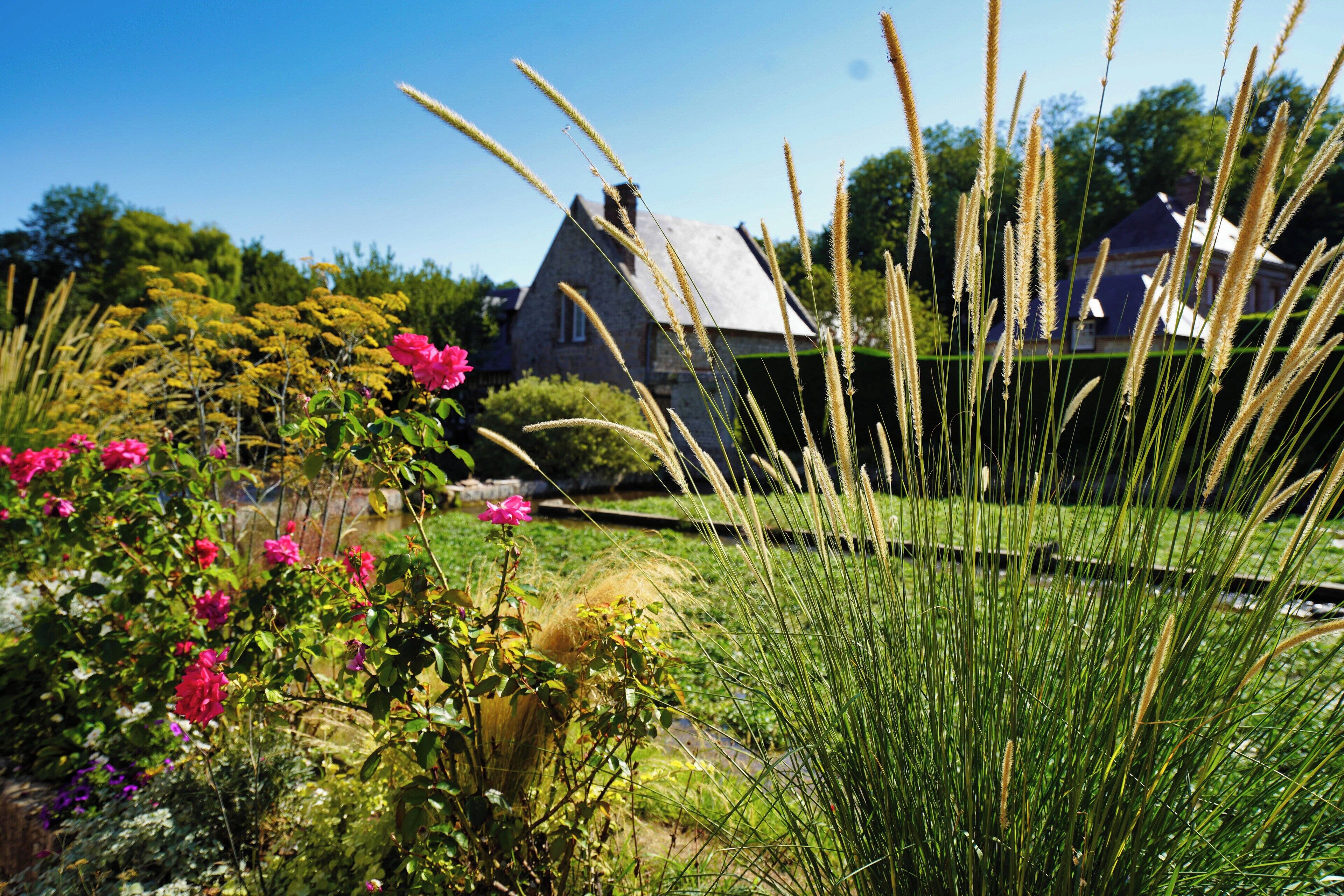 A garden with various plants and a house in the background.