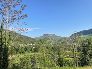Miscellaneous - IN AVEYRON IN THE GORGES DU TARN THE CHATEAU DU CAMBON IDEAL FOR FAMILIES (la cresse)