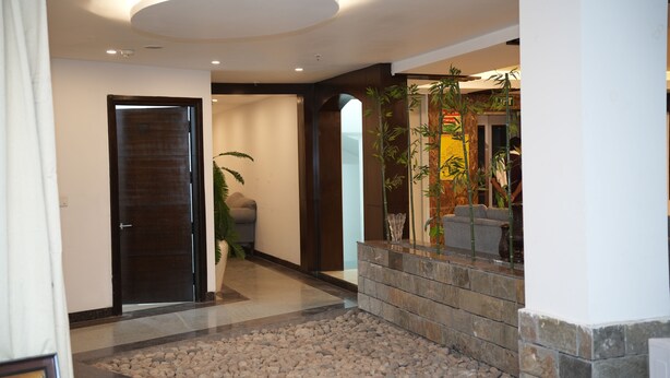Un vestíbulo moderno con un mostrador de recepción de piedra, una planta grande en maceta y una puerta que da a otra habitación.